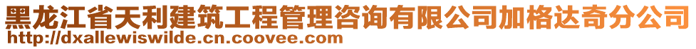 黑龍江省天利建筑工程管理咨詢有限公司加格達(dá)奇分公司