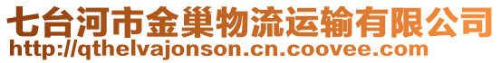 七臺(tái)河市金巢物流運(yùn)輸有限公司