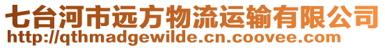 七臺河市遠方物流運輸有限公司