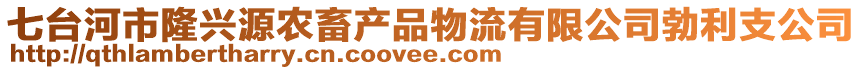 七台河市隆兴源农畜产品物流有限公司勃利支公司