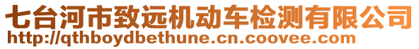 七臺(tái)河市致遠(yuǎn)機(jī)動(dòng)車(chē)檢測(cè)有限公司