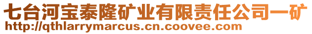 七臺河寶泰隆礦業(yè)有限責(zé)任公司一礦