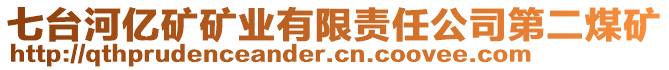 七臺(tái)河億礦礦業(yè)有限責(zé)任公司第二煤礦