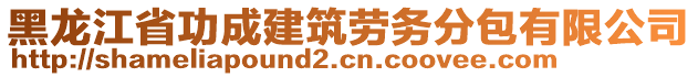 黑龍江省功成建筑勞務分包有限公司