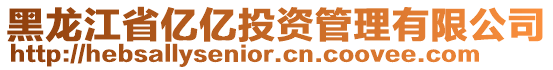 黑龍江省億億投資管理有限公司