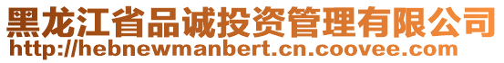 黑龍江省品誠投資管理有限公司