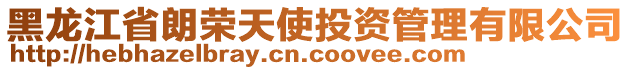 黑龍江省朗榮天使投資管理有限公司