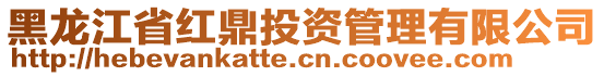 黑龍江省紅鼎投資管理有限公司