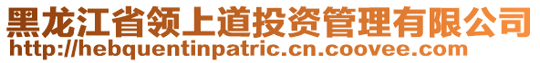 黑龍江省領(lǐng)上道投資管理有限公司