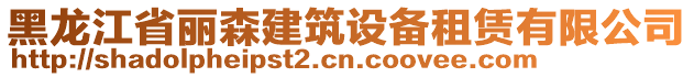 黑龍江省麗森建筑設(shè)備租賃有限公司