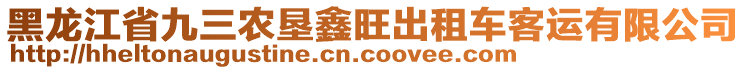 黑龍江省九三農(nóng)墾鑫旺出租車客運(yùn)有限公司