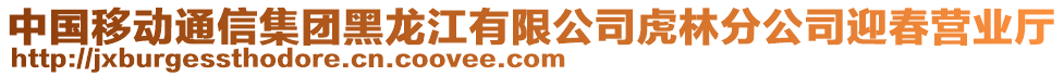 中國(guó)移動(dòng)通信集團(tuán)黑龍江有限公司虎林分公司迎春營(yíng)業(yè)廳