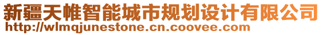 新疆天帷智能城市規(guī)劃設(shè)計(jì)有限公司