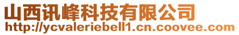 山西訊峰科技有限公司