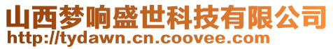 山西夢響盛世科技有限公司