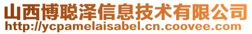 山西博聪泽信息技术有限公司