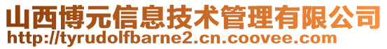 山西博元信息技術(shù)管理有限公司