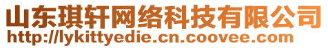 山東琪軒網(wǎng)絡(luò)科技有限公司