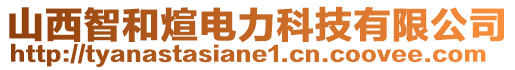 山西智和煊電力科技有限公司