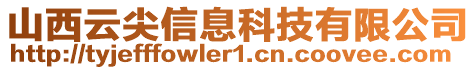 山西云尖信息科技有限公司