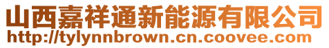 山西嘉祥通新能源有限公司