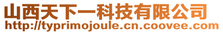 山西天下一科技有限公司