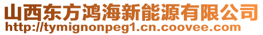 山西東方鴻海新能源有限公司