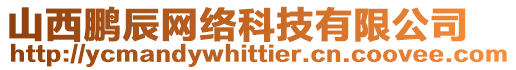 山西鵬辰網(wǎng)絡(luò)科技有限公司