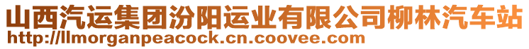 山西汽运集团汾阳运业有限公司柳林汽车站