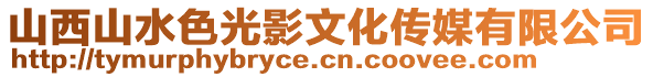 山西山水色光影文化傳媒有限公司