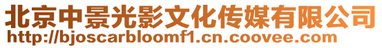北京中景光影文化傳媒有限公司