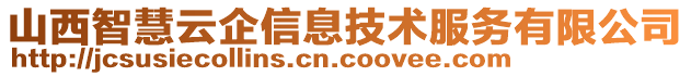 山西智慧云企信息技術(shù)服務(wù)有限公司