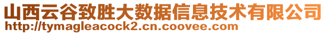 山西云谷致勝大數(shù)據(jù)信息技術(shù)有限公司