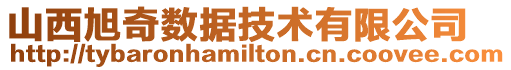 山西旭奇數據技術有限公司