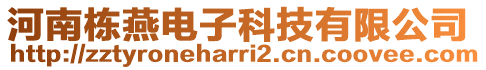 河南棟燕電子科技有限公司