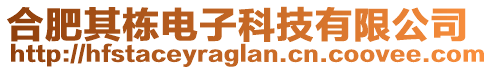 合肥其棟電子科技有限公司