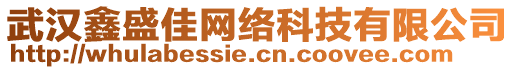 武漢鑫盛佳網(wǎng)絡(luò)科技有限公司