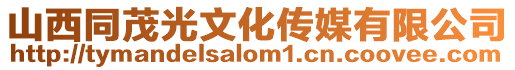 山西同茂光文化傳媒有限公司