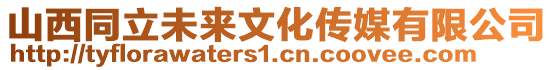 山西同立未來文化傳媒有限公司