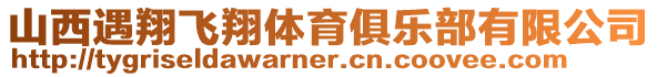 山西遇翔飛翔體育俱樂(lè)部有限公司