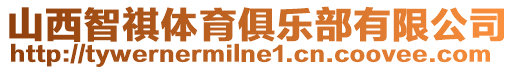 山西智祺體育俱樂部有限公司