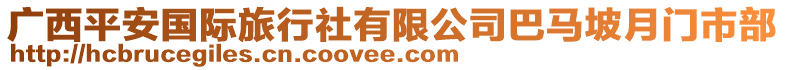 廣西平安國際旅行社有限公司巴馬坡月門市部