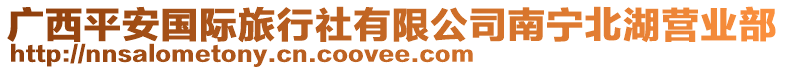 廣西平安國(guó)際旅行社有限公司南寧北湖營(yíng)業(yè)部