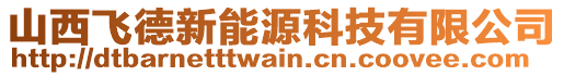 山西飛德新能源科技有限公司