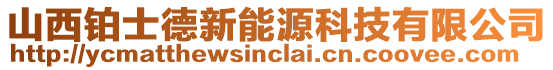 山西鉑士德新能源科技有限公司