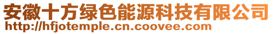 安徽十方綠色能源科技有限公司