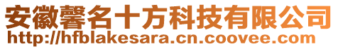 安徽馨名十方科技有限公司