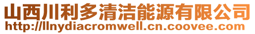 山西川利多清潔能源有限公司