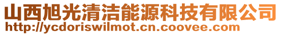 山西旭光清洁能源科技有限公司