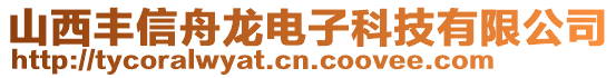 山西丰信舟龙电子科技有限公司